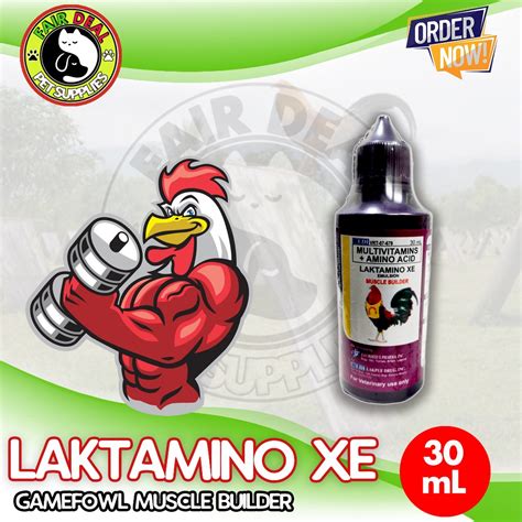 Laktamino XE 30mL (Muscle builder) .